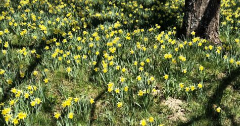 Célébration solennelle de Pâques