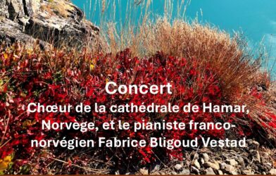 Choeur de la cathédrale de Hamar (Norvège) 